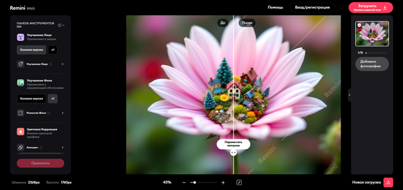 Активируйте их обработку и получите результат за несколько секунд