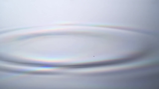 Физическая достоверность